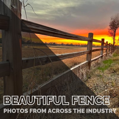 Beautiful Fences Photos